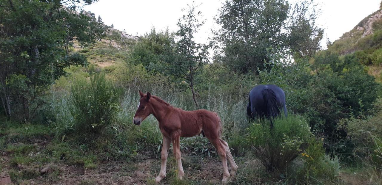 Casa Rural Carmen Luna Mallo de Luna Exteriör bild